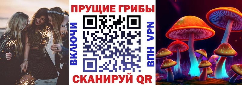 OMG зеркало  Полярный  Псилоцибиновые грибы Psilocybine cubensis  купить закладку 